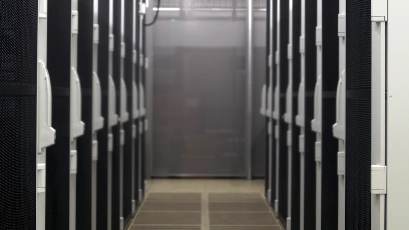 Cage für Business Dedicated Server - Standort FRA1 NTT